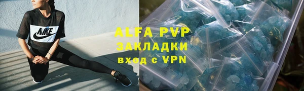 стаф Белоозёрский
