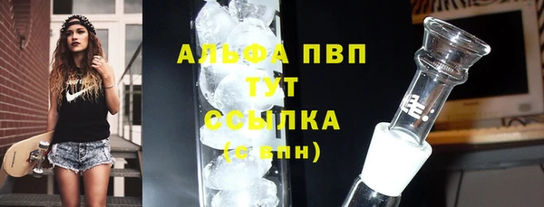 стаф Белоозёрский