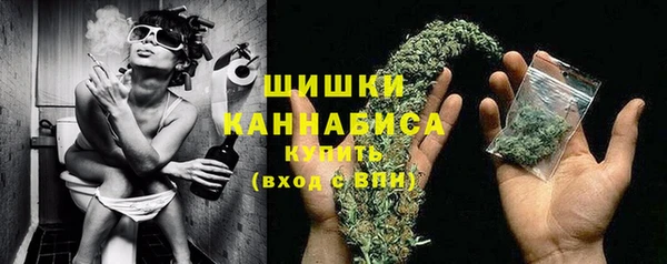 стаф Белоозёрский