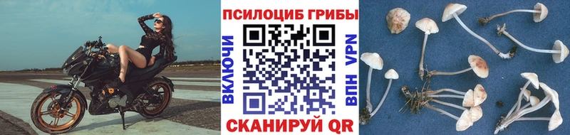 Галлюциногенные грибы Magic Shrooms  Билибино 